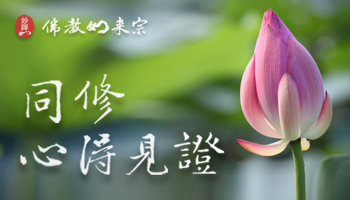 [討論] ELEVEN SPORT主播有比緯來好嗎